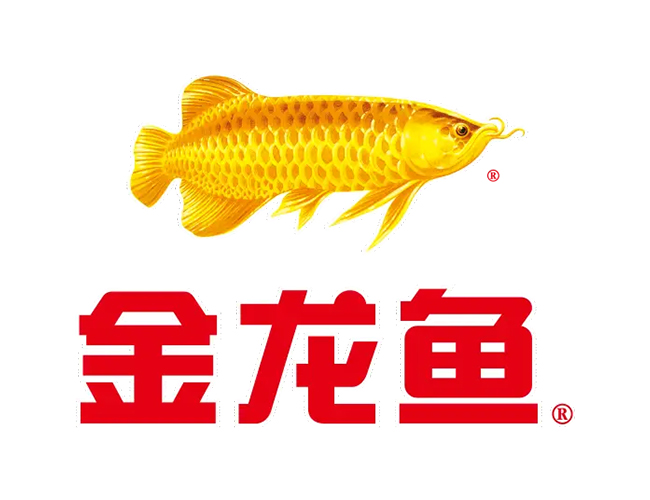 金龍魚(yú)